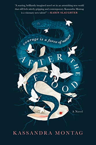 Book After the Flood: A Novel free
