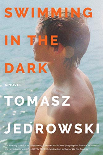 Book Swimming in the Dark: A Novel free