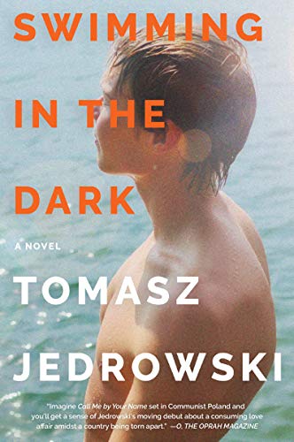 Book Swimming in the Dark: A Novel free