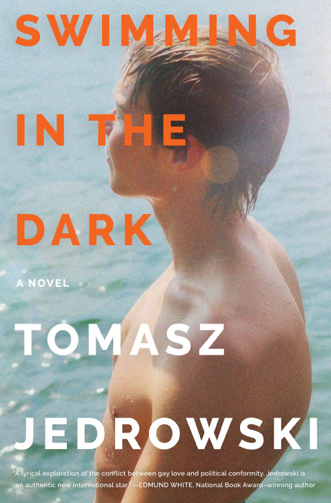 Book Swimming in the Dark: A Novel free