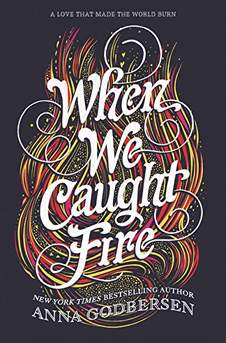 Book When We Caught Fire () free