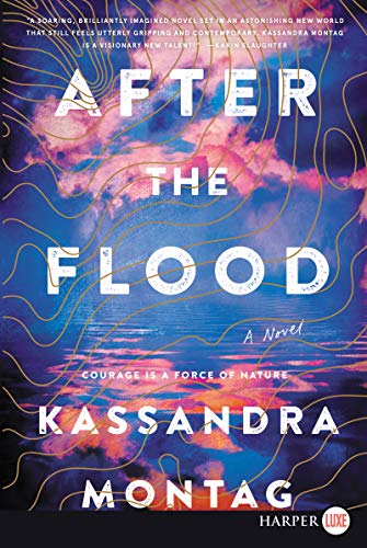 Book After the Flood: A Novel free