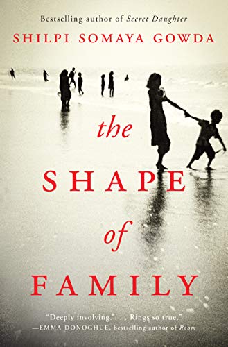 Book The Shape of Family: A Novel free