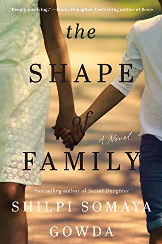 Book The Shape of Family: A Novel free