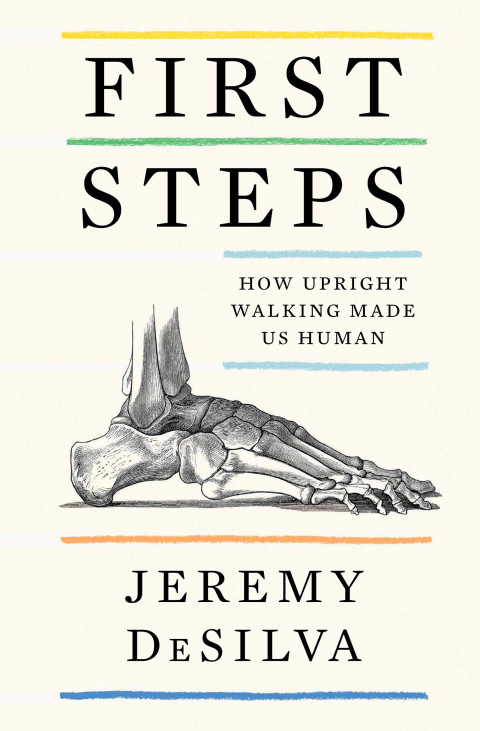 Book First Steps: How Upright Walking Made Us Human free