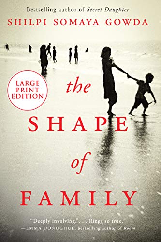 Book The Shape of Family: A Novel free Book The Shape of Family: A Novel free