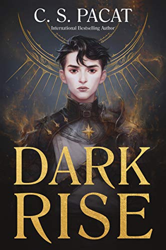 Book Dark Rise free