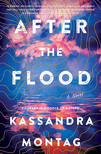 Book After the Flood: A Novel free