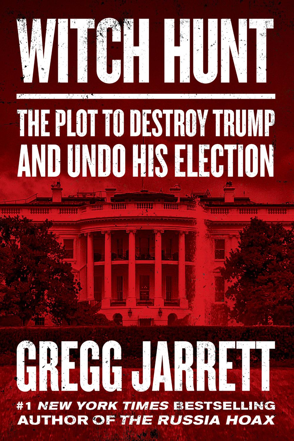 Book Witch Hunt: The Story of the Greatest Mass Delusion in American Political History free
