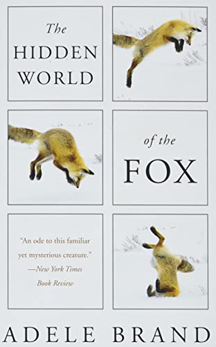 Book The Hidden World of the Fox free