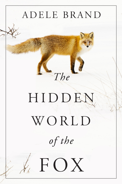 Book The Hidden World of the Fox free
