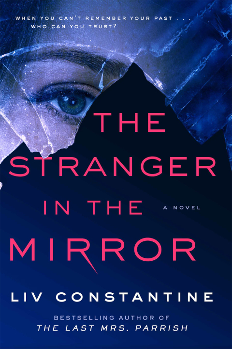 Book The Stranger in the Mirror: A Novel free