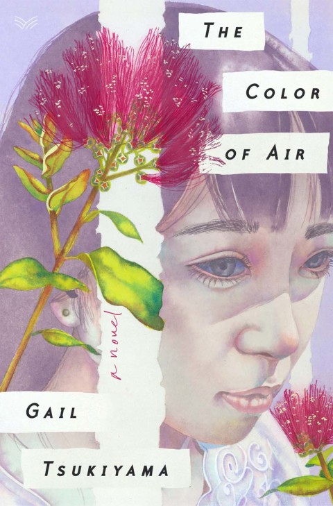 Book The Color of Air free