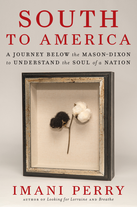 Book South to America: A Journey Below the Mason-Dixon to Understand the Soul of a Nation free