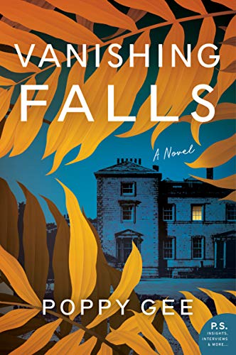 Book Vanishing Falls: A Novel free