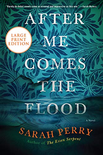 Book After Me Comes the Flood: A Novel free