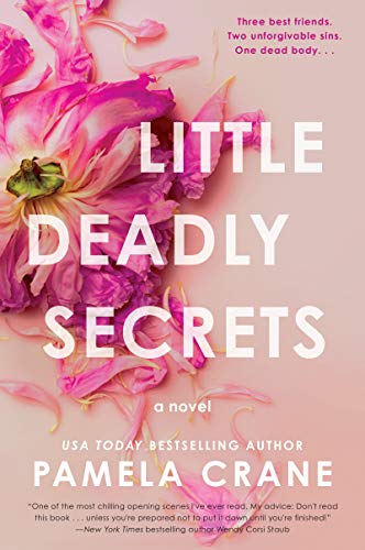 Book Little Deadly Secrets: A Novel free