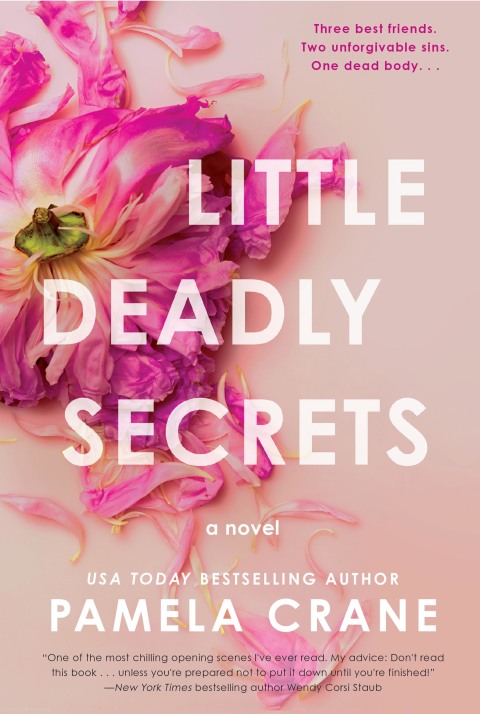 Book Little Deadly Secrets: A Novel free