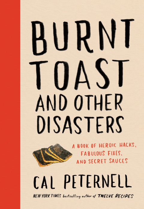 Book Burnt Toast and Other Disasters free