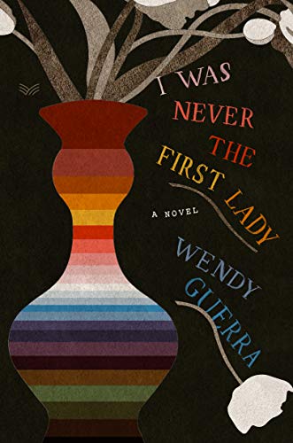 Book I Was Never the First Lady: A Novel free