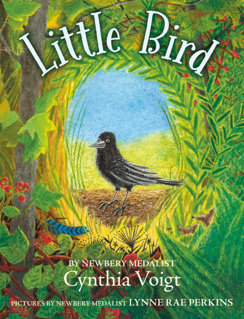 Book Little Bird free