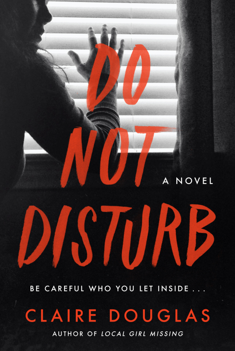 Book Do Not Disturb: A Novel free