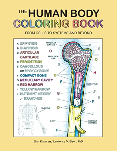 Book The Human Body Coloring Book: From Cells to Systems and Beyond (Coloring Concepts) free