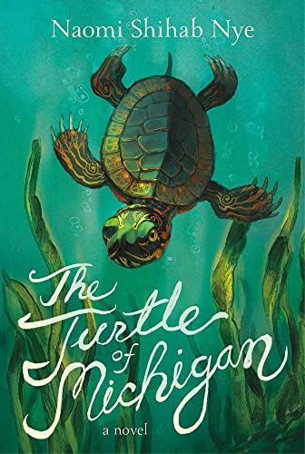 Book The Turtle of Michigan: A Novel free
