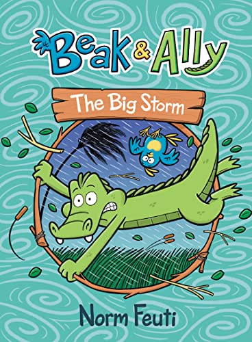 Book Beak & Ally #3: The Big Storm free