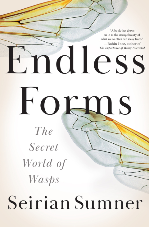 Book Endless Forms: The Secret World of Wasps free