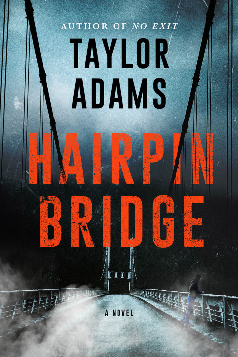 Book Hairpin Bridge: A Novel free