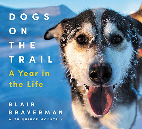 Book Dogs on the Trail: A Year in the Life free
