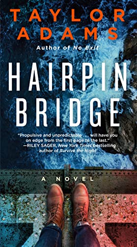 Book Hairpin Bridge: A Novel free