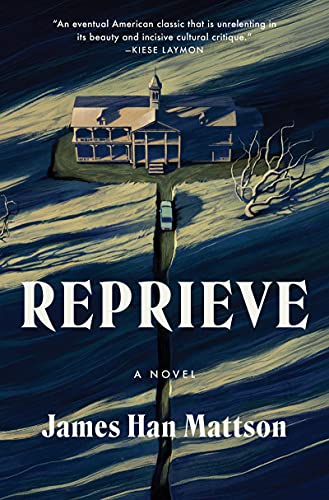 Book Reprieve: A Novel free