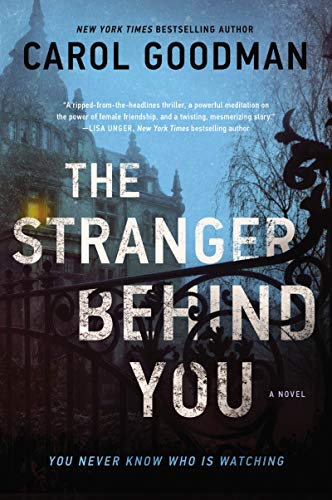 Book The Stranger Behind You: A Novel free