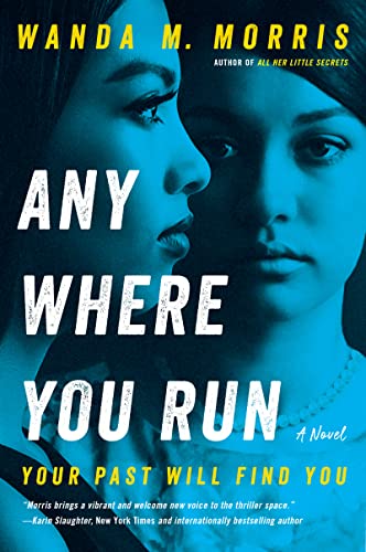 Book Anywhere You Run: A Novel free
