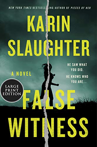 Book False Witness: A Novel free