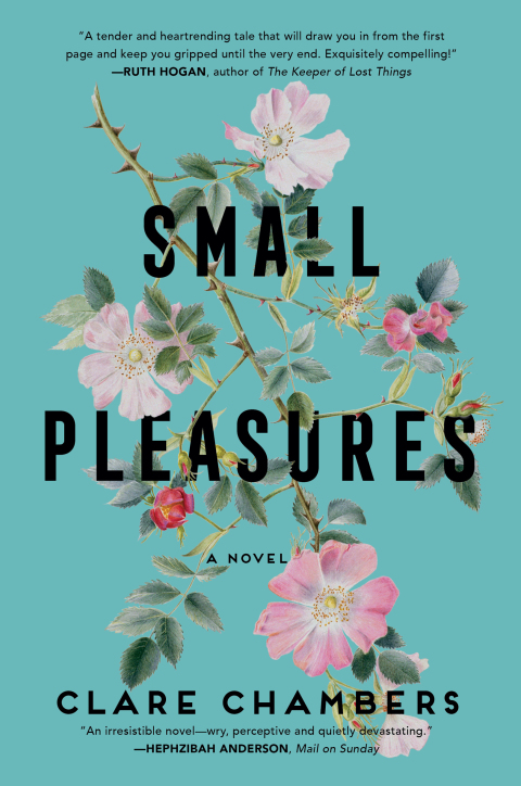 Book Small Pleasures free