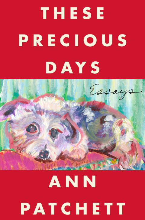 Book These Precious Days: Essays free