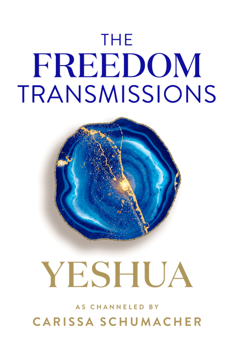 Book The Freedom Transmissions free