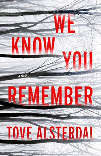 Book We Know You Remember: A Novel (The High Coast Series, 1) free