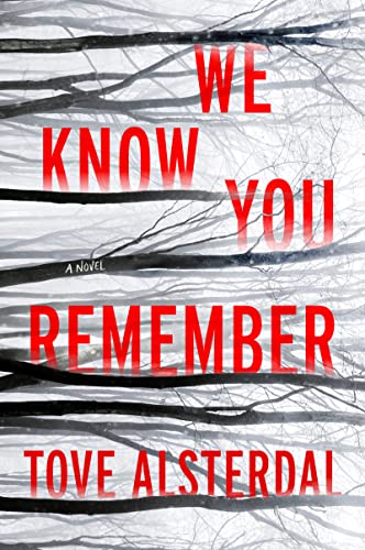 Book We Know You Remember: A Novel (The High Coast Series, 1) free