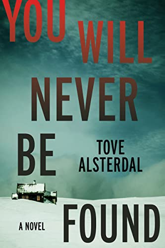 Book You Will Never Be Found: A Novel (The High Coast Series, 2) free