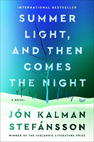 Book Summer Light, and Then Comes the Night: A Novel free