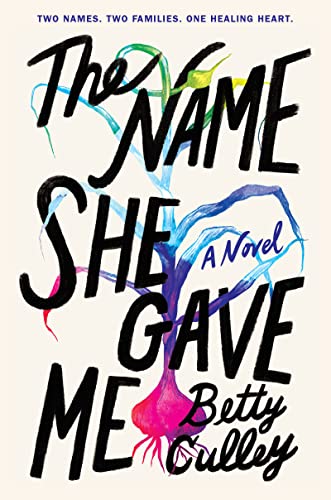 Book The Name She Gave Me free