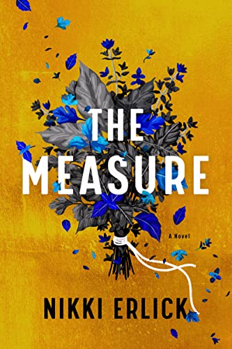 Book The Measure: A Novel free