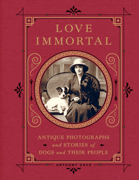 Book Love Immortal free Book Love Immortal free