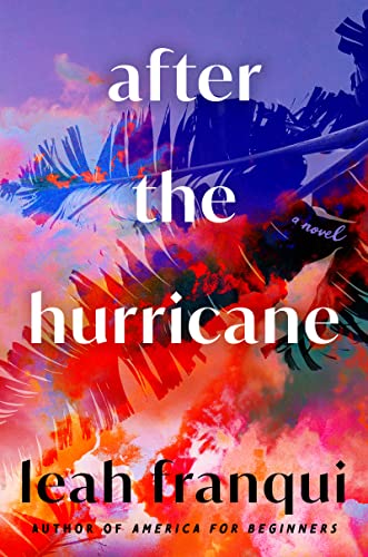 Book After the Hurricane: A Novel free