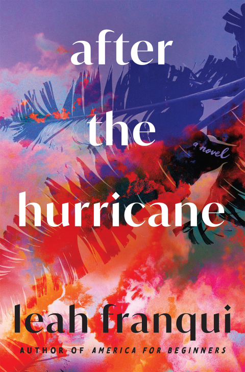 Book After the Hurricane free