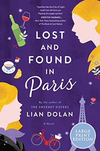 Book Lost and Found in Paris: A Novel free